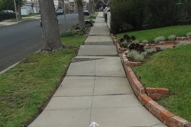 Encino curb and gutter new driveway approach sidewalk repair contractor