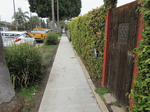 Venice Sidewalk Repair Program